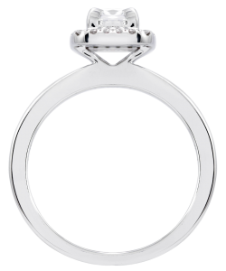 ring-800x960